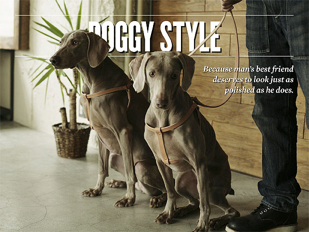 Because man's best friend deserves to look just as polished as he does. By <a href="http://sharpmagazine.com/author/grady-mitchell/">Grady Mitchell</a><div id='nrelate_flyout_placeholder'><p>Before you ask, no, this story will not mention chauffeuring your pup around in a designer handbag, explain how to synchronize outfits with your pet, nor list the finest canine spas. This is about covering the basics for your pet – with a touch of class, of course. Because a considering man likes his things simple, useful, and well-made, and that philosophy should extend to your furry friend as well. Read on for an essential list of items that won’t embarrass you or your dog.</p>
</div> <div class='yarpp-related'>
<h3>Related posts:</h3><ol>
<li><a href='http://sharpmagazine.com/style/your-ultimate-style-bucket-list/' rel='bookmark' title='Your Ultimate Style Bucket List'>Your Ultimate Style Bucket List</a></li>
<li><a href='http://sharpmagazine.com/style/the-traveling-mans-fashion-guide/' rel='bookmark' title='The Travelling Man’s Style Guide'>The Travelling Man’s Style Guide</a></li>
<li><a href='http://sharpmagazine.com/street-shots/style-wrangler-2/' rel='bookmark' title='Style Wrangler'>Style Wrangler</a></li>
</ol>
</div>
Doggy Style
