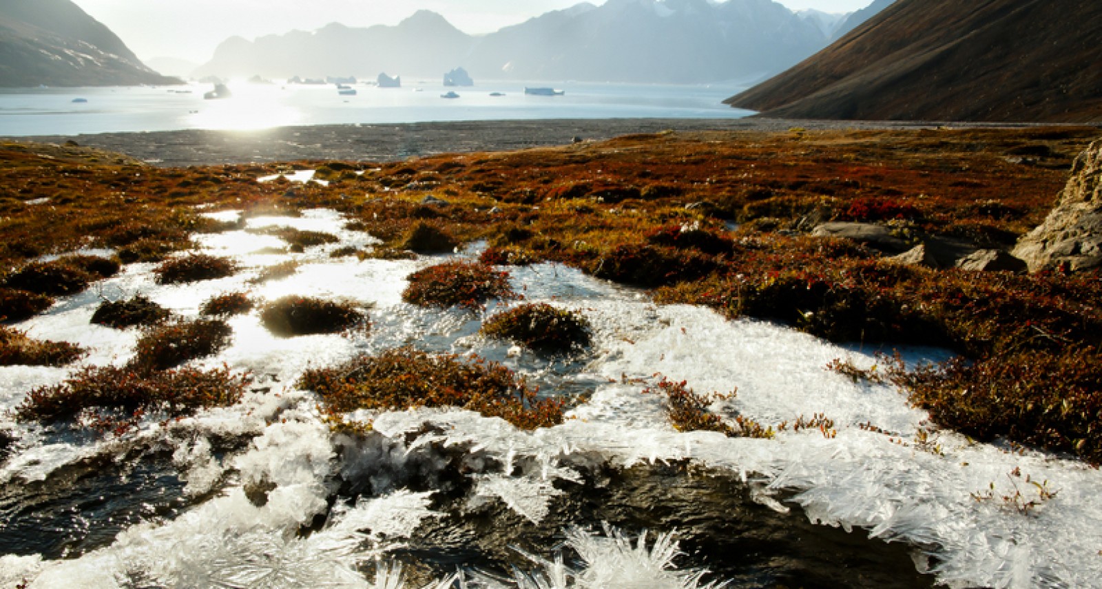 Canada s Collapsing Permafrost Is A Climate Change Disaster Here s What We re Reading Sharp 