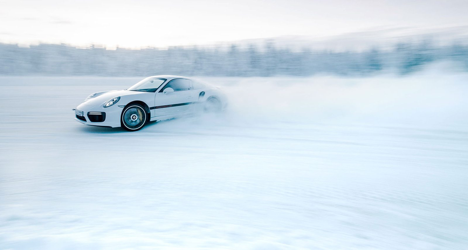 Car snowbunny
