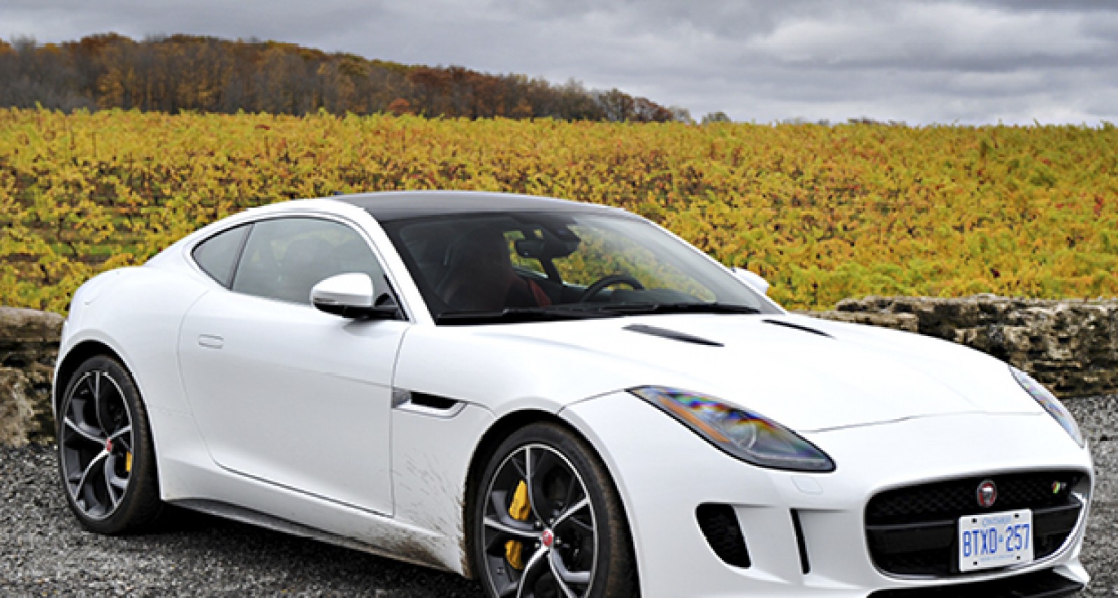 Jaguar F Type R Exhaust >> We Terrorize Wine Country in the Jaguar F-Type R | Sharp Magazine Jaguar F Type R Exhaust >> We Terrorize Wine Country in the Jaguar F-Type R | Sharp Magazine