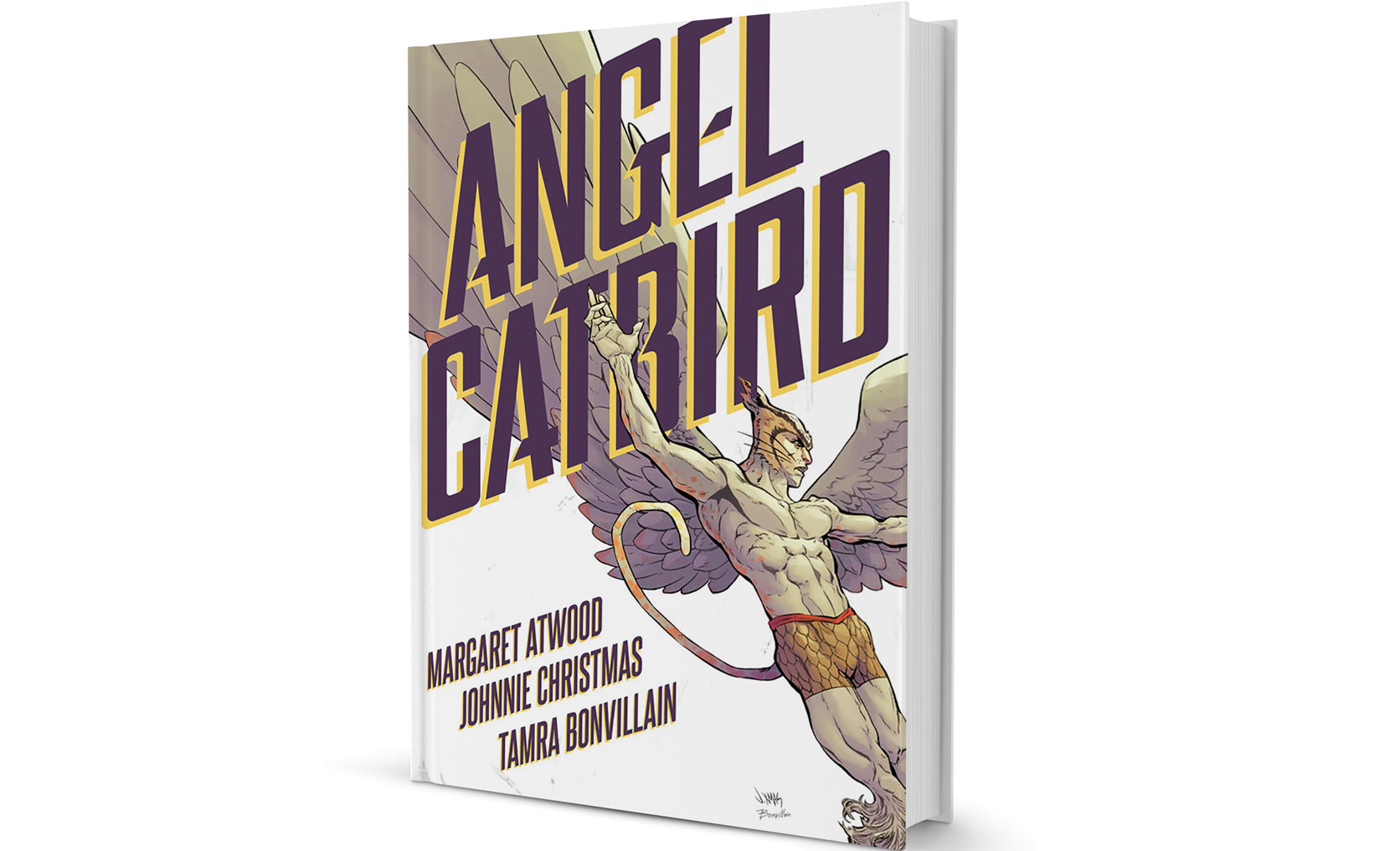 angelcatbirdbook-cover