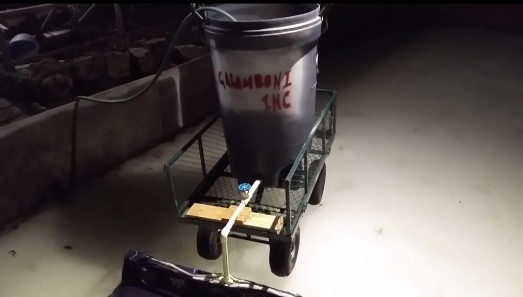 Ontario Dad Builds The Most Shoddy/Perfect Backyard Zamboni Sharp