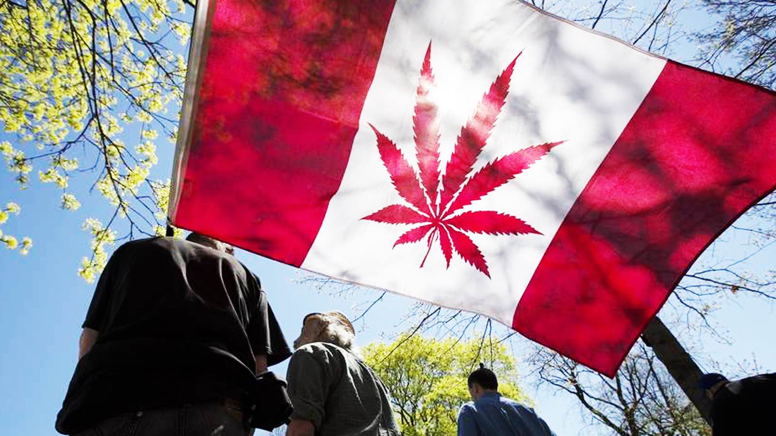 Canada could make at least $675 Million by taxing legal weed