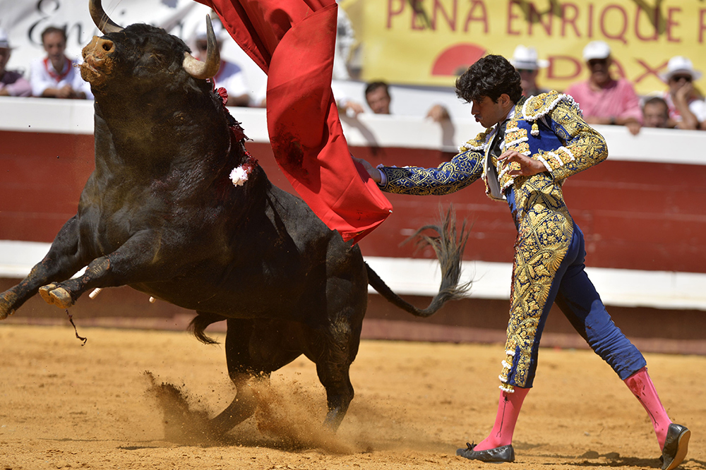 bullfighter_inpost1