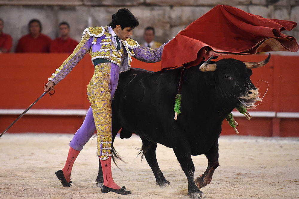 bullfighter_inpost2