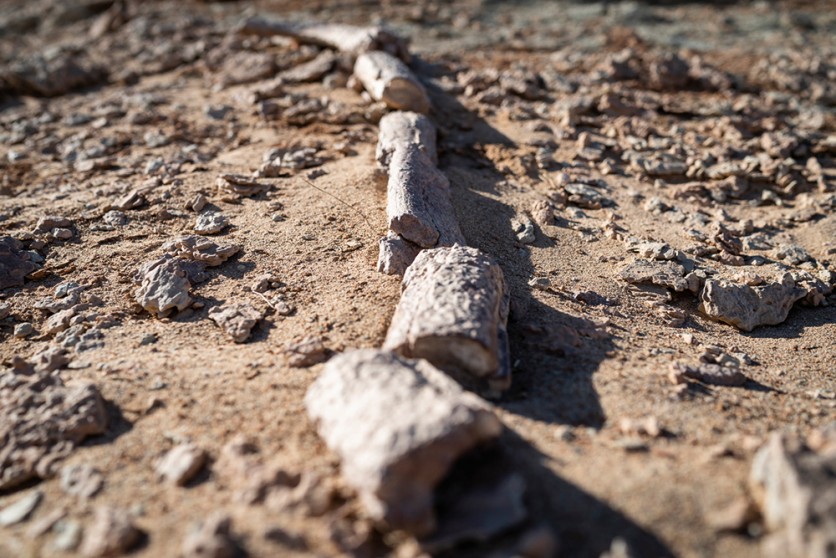 Infiniti and Beyond: Crossing the Endless Gobi Desert in Search of ...