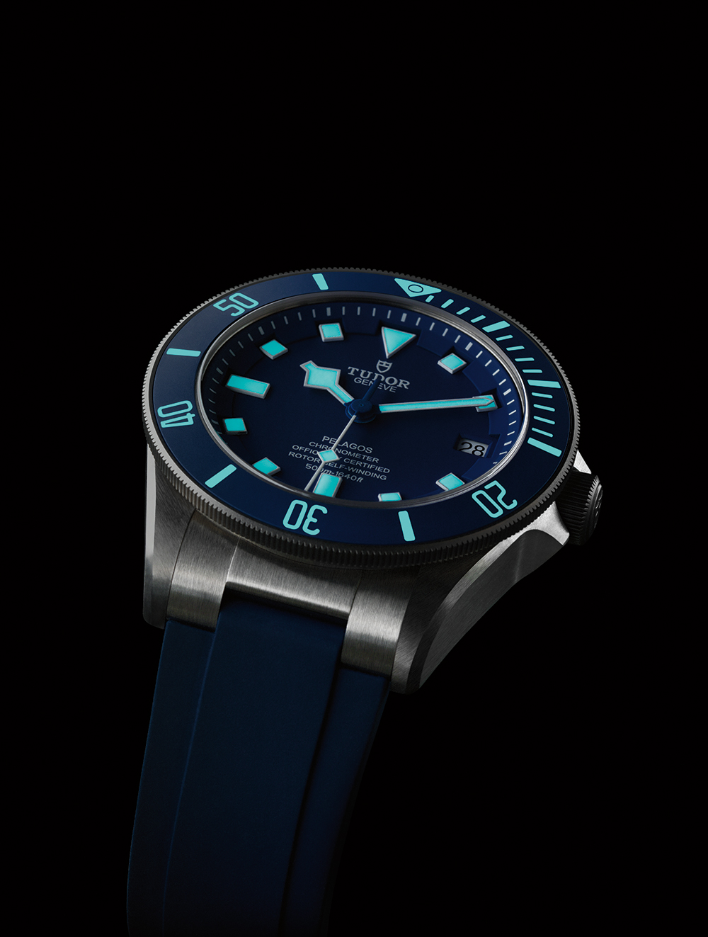 Why Morgan Bourc'his Took the Tudor Pelagos Swimming with Whales ...