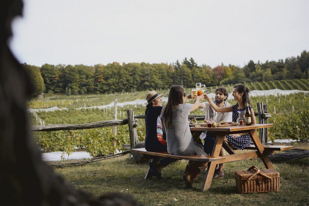 Brome-Missisquio Wine Route friends around table drinking wine