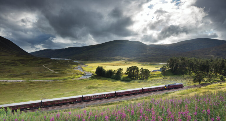 Royal Scotsman July 2023 going across a field