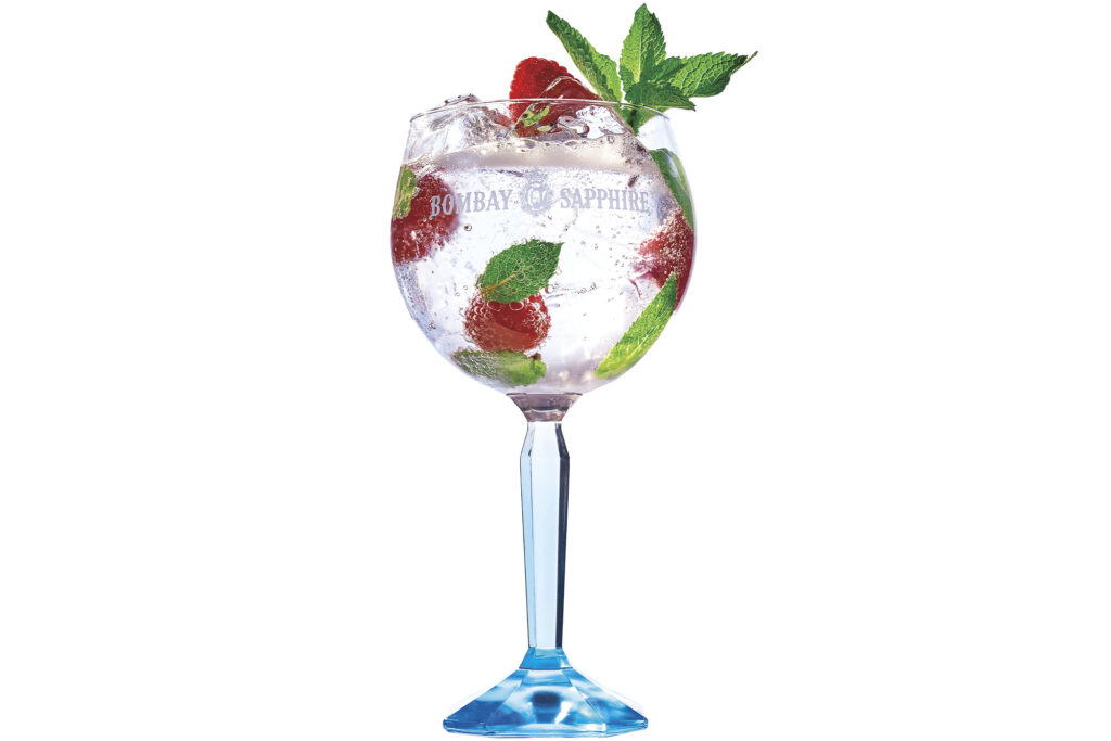 Bombay sapphire glass with raspberry and mint garnish
