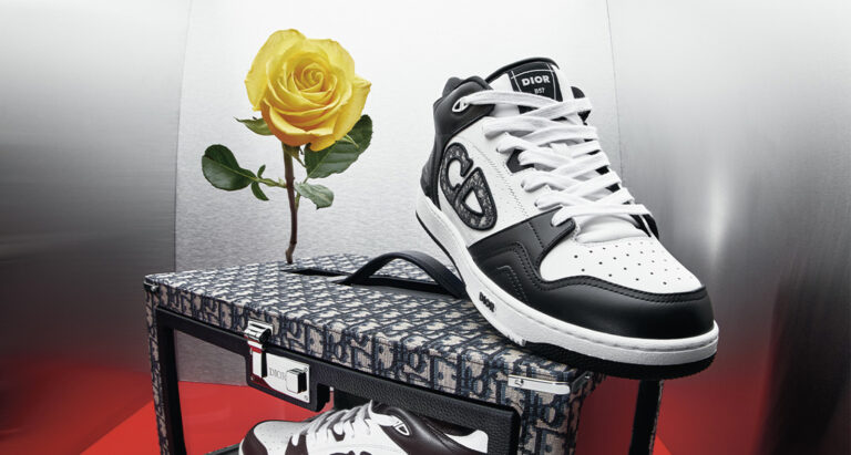 Objet d'art Dior Sneaker