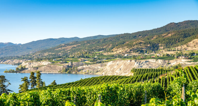 Okanagan Valley vineyard