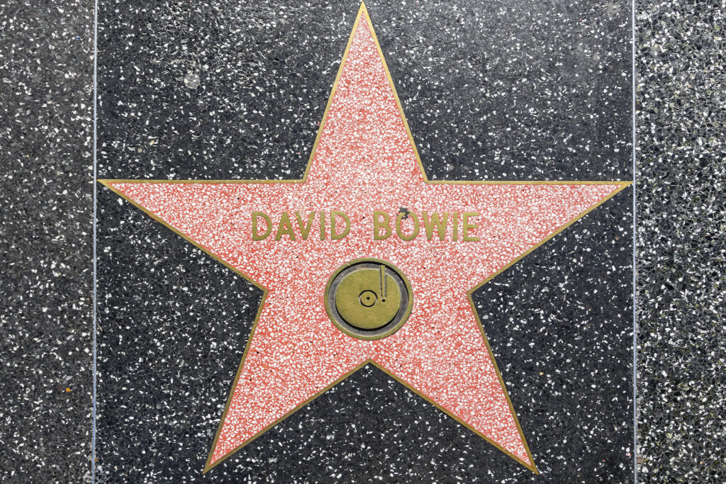 David Bowie hollywood star