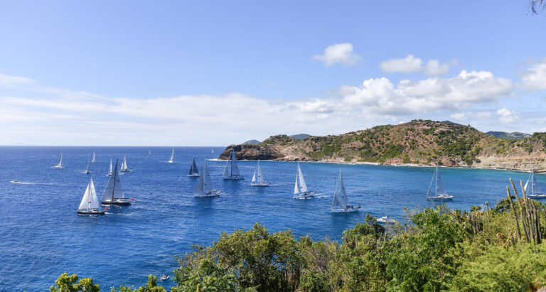 Oyster World Rally 2028-29