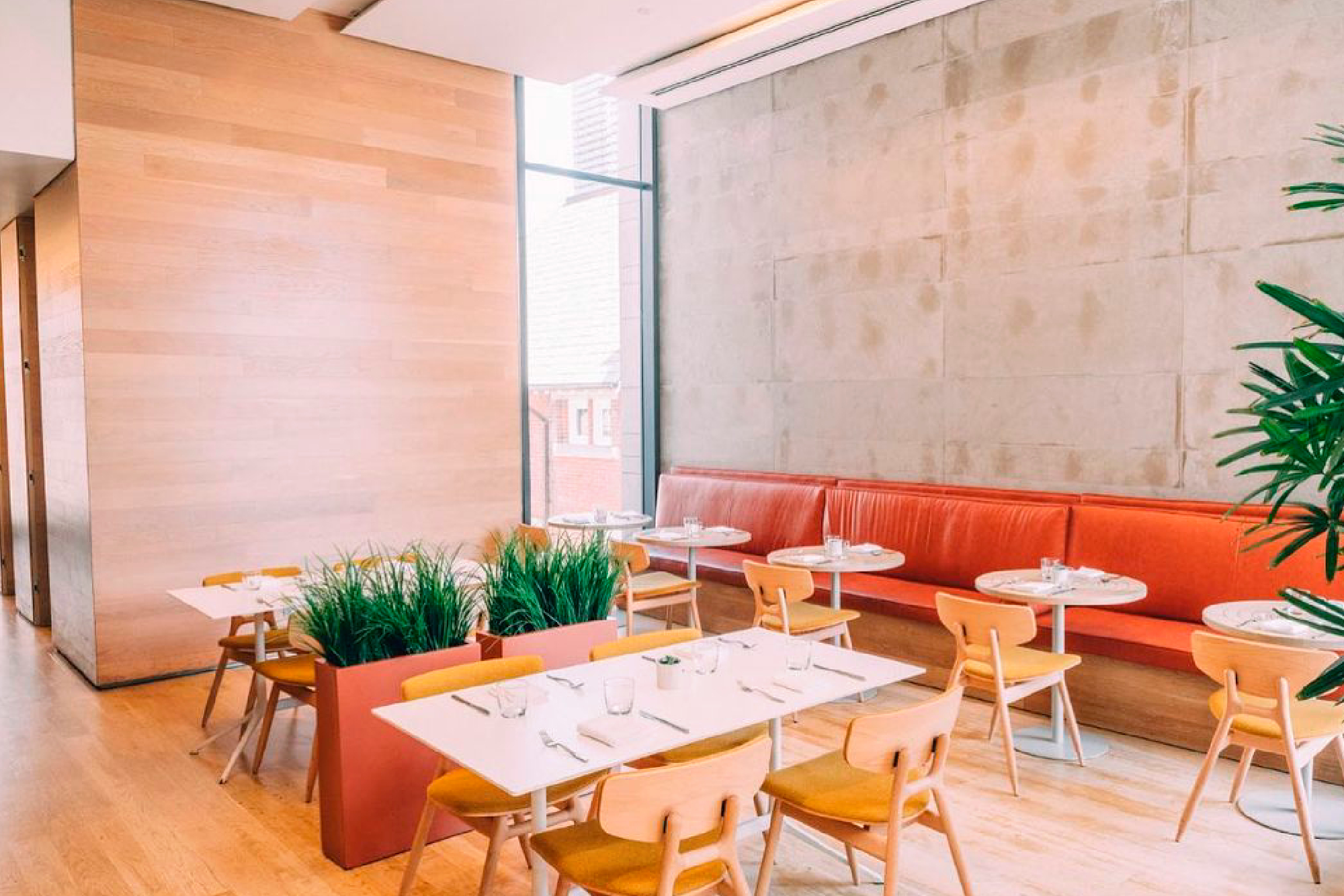 Twelve Toronto restaurants with amazing architecture clay