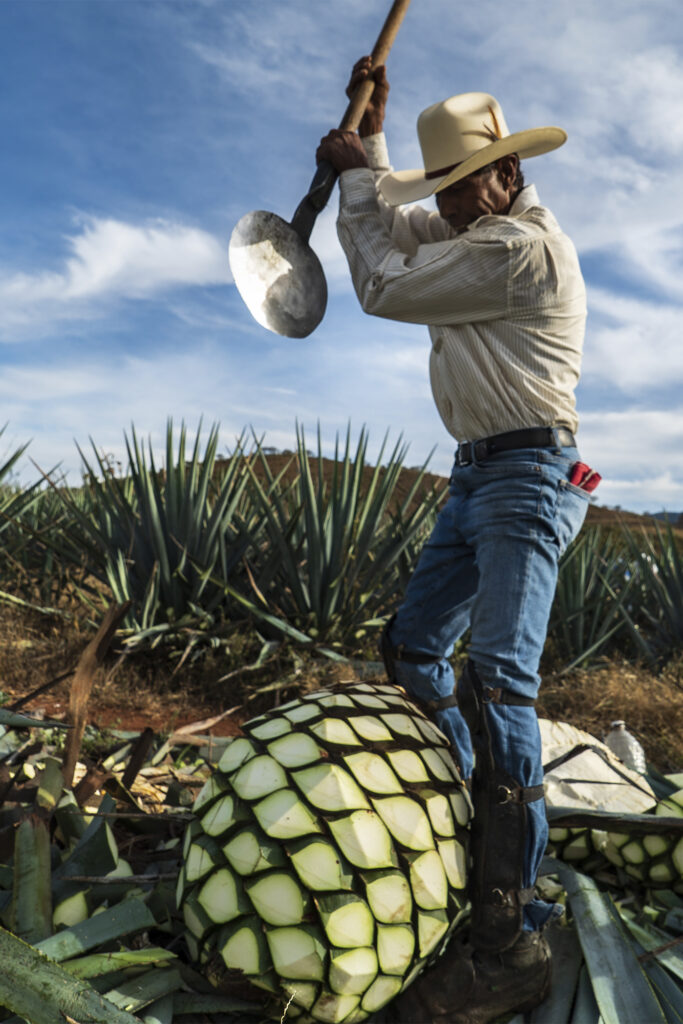 Tequila Tromba’s Co-Founder On Bringing Mexico’s Signature Spirit to Canada