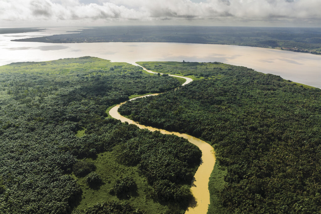 Inza Koné Rainforest Preservation with Rolex