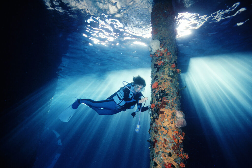 Rolex Sylvia Earle Mission Blue