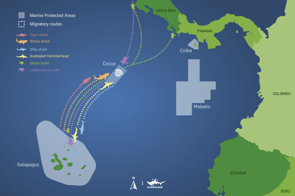 Rolex Sylvia Earle Mission Blue: a map