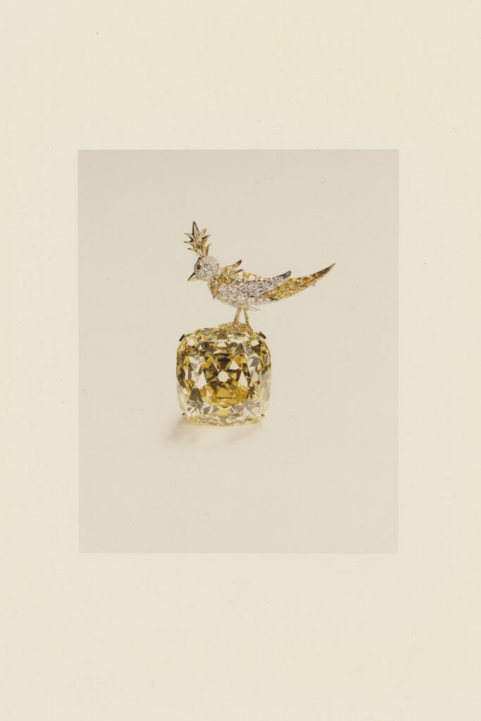Tiffany & Co. brooch Bird on a Rock