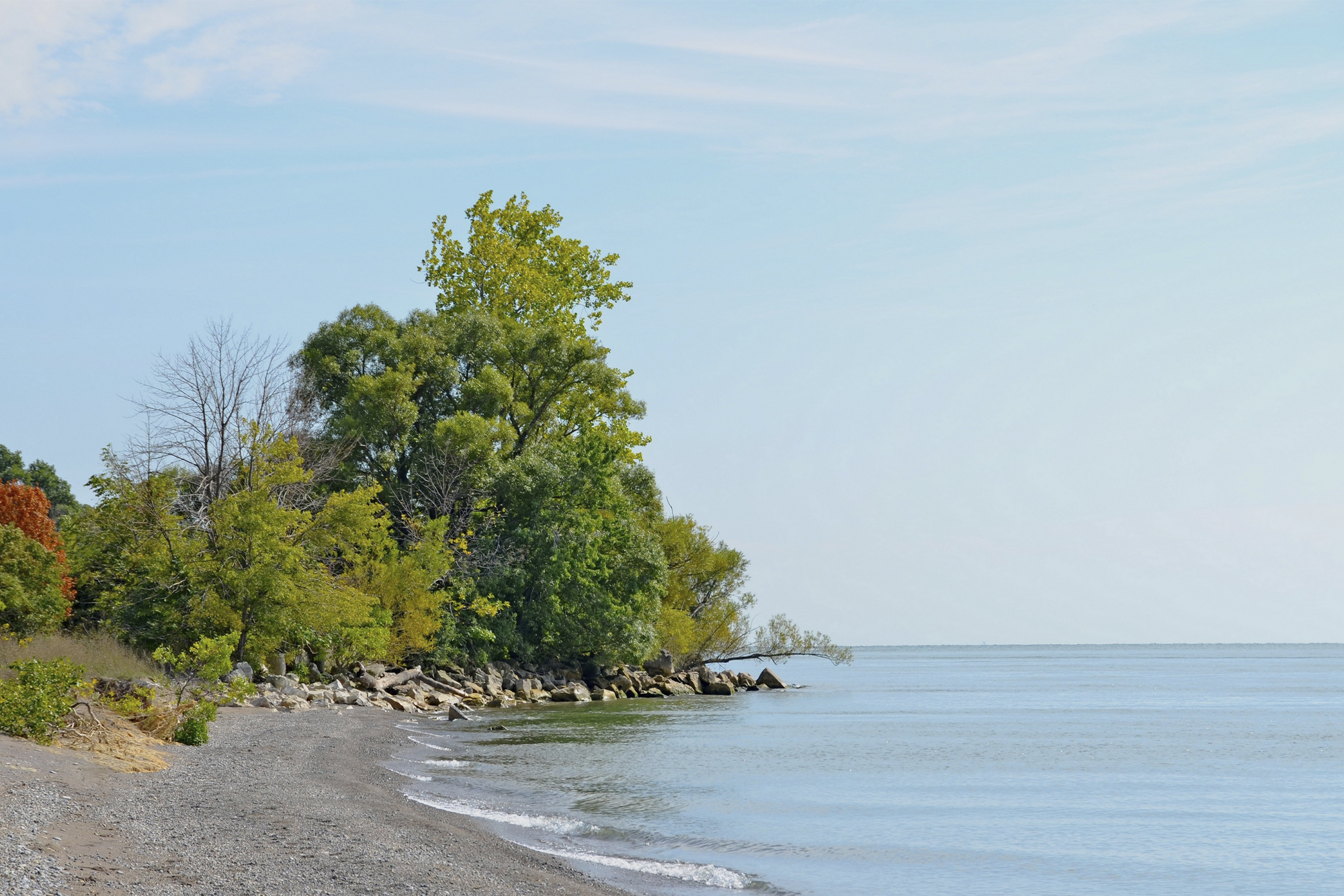 Point Pelee National Park, Ontario