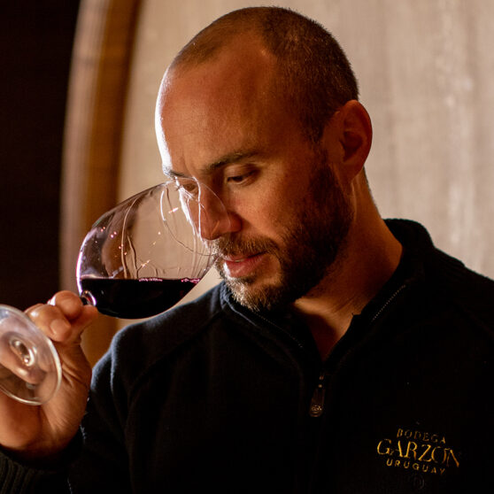 Uruguayan Wine Producer Bodega Garzón