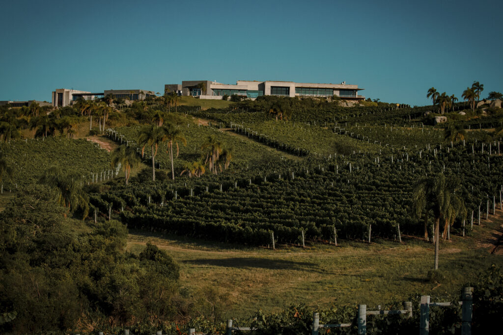 Uruguayan Wine Producer Bodega Garzón