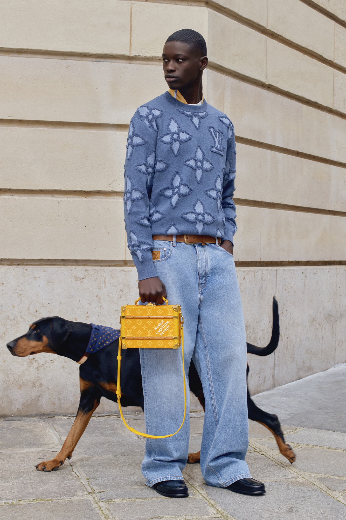 Louis Vuitton men's Pre-collection SS25