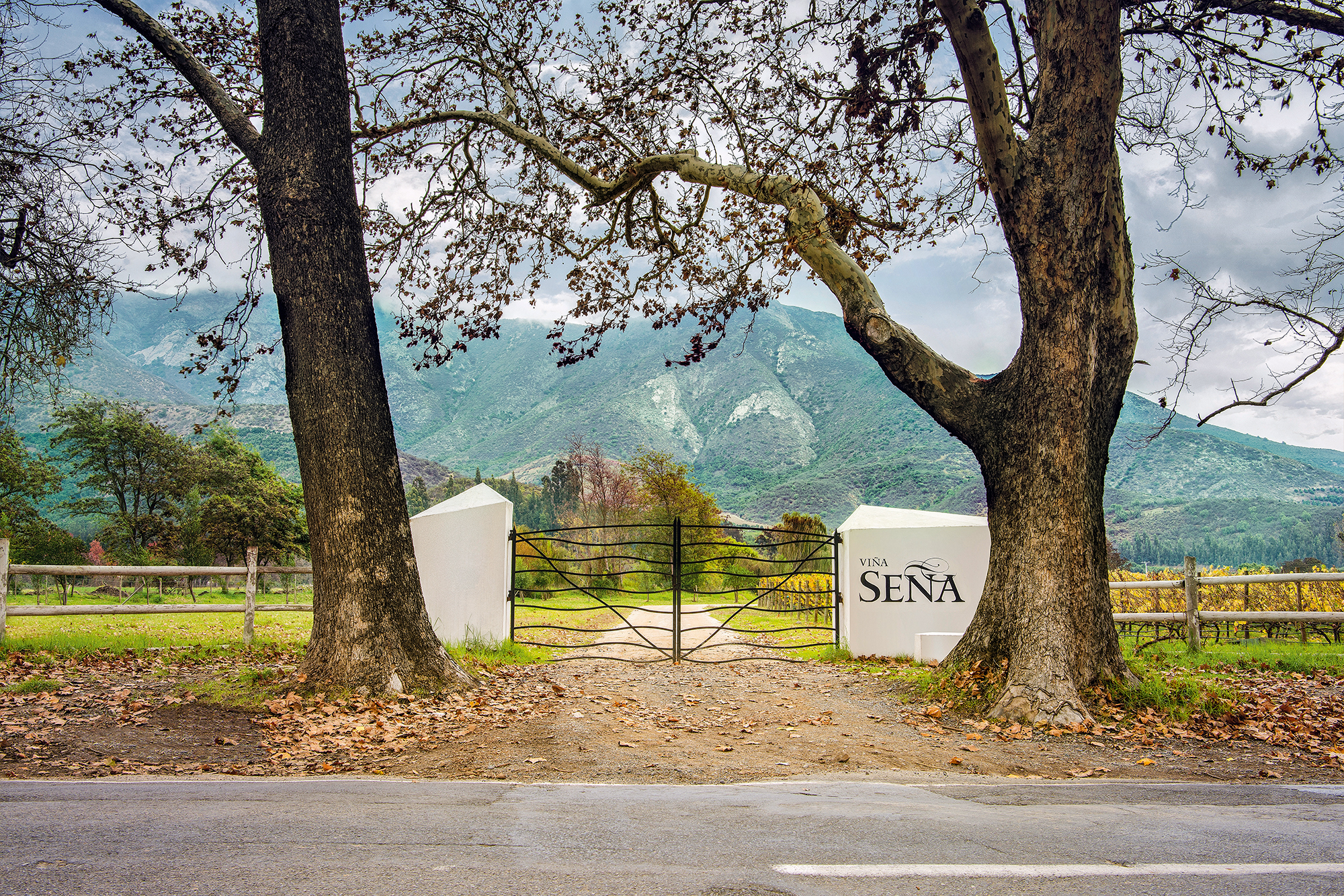 sena vineyard gates