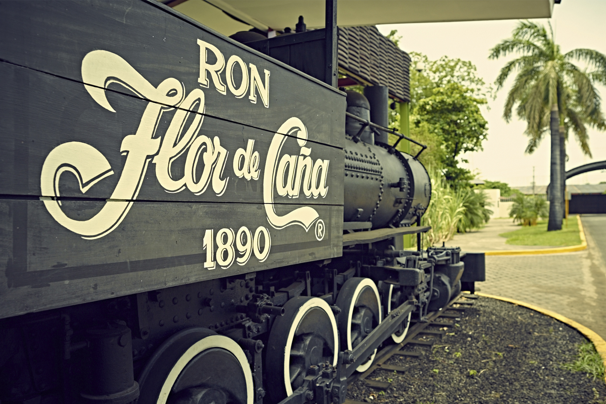 FLOR DE CANA 4-2025