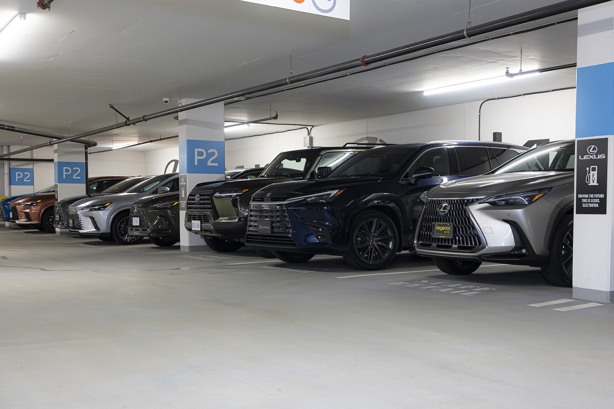 Regency Lexus Studio