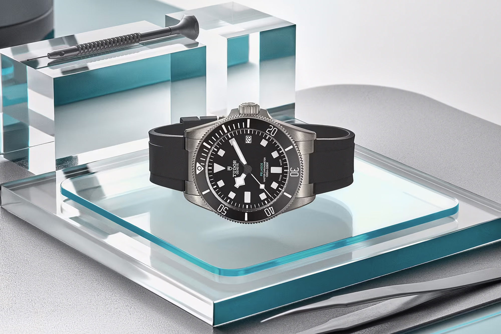 tudor pelagos watch family