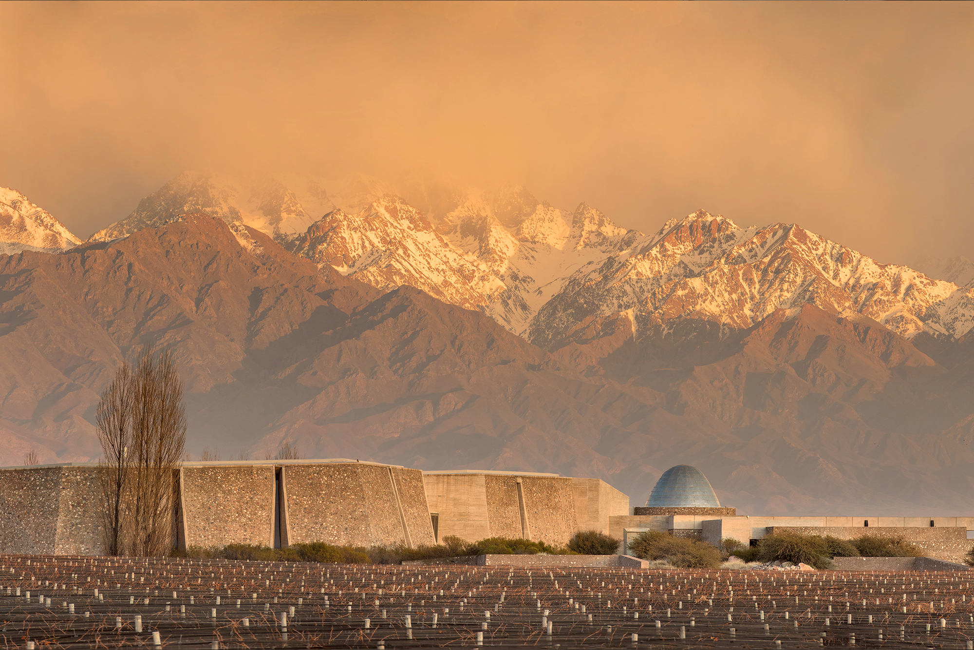 zuccardi sustainable wine earth day 1
