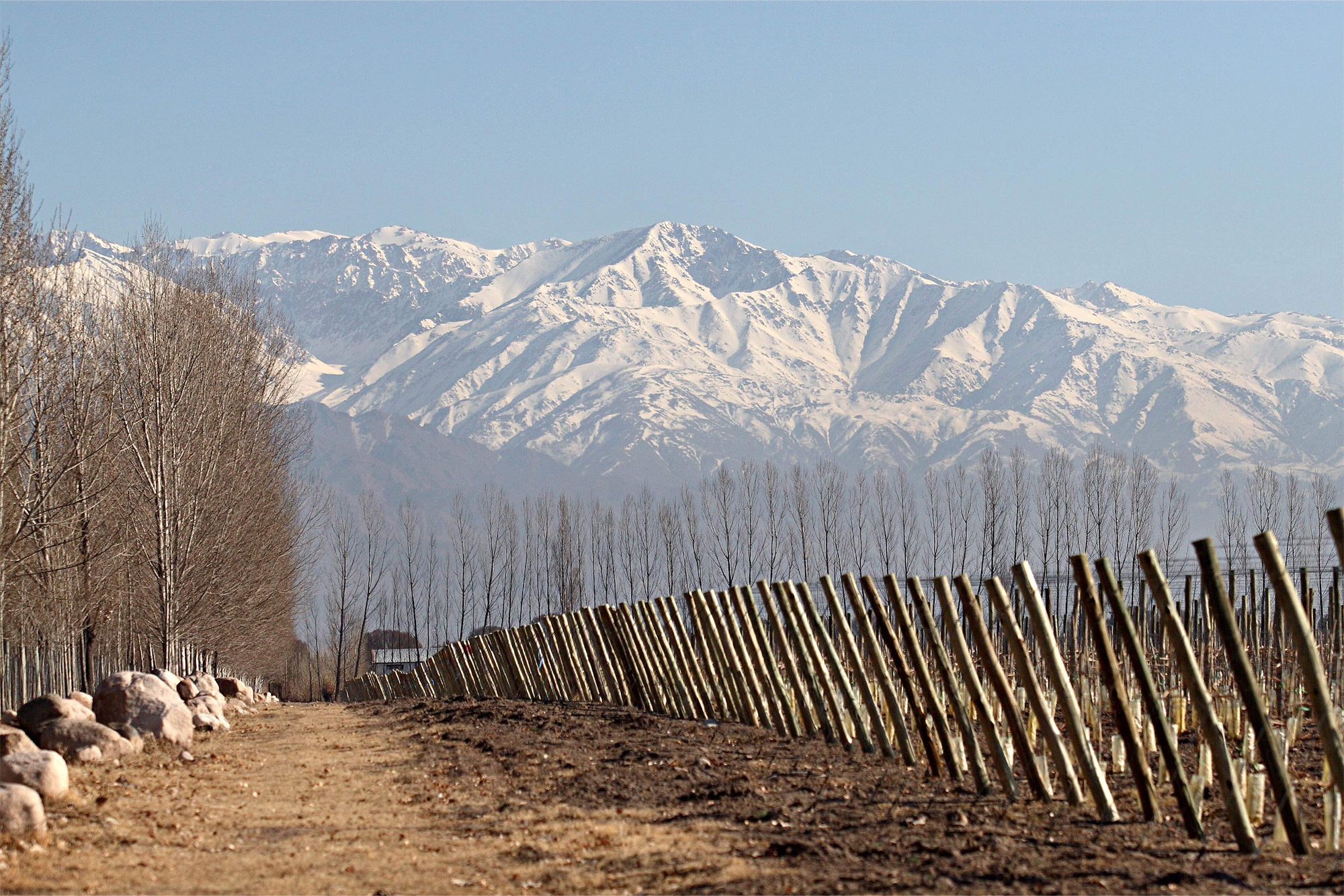 zuccardi sustainable wine earth day 1