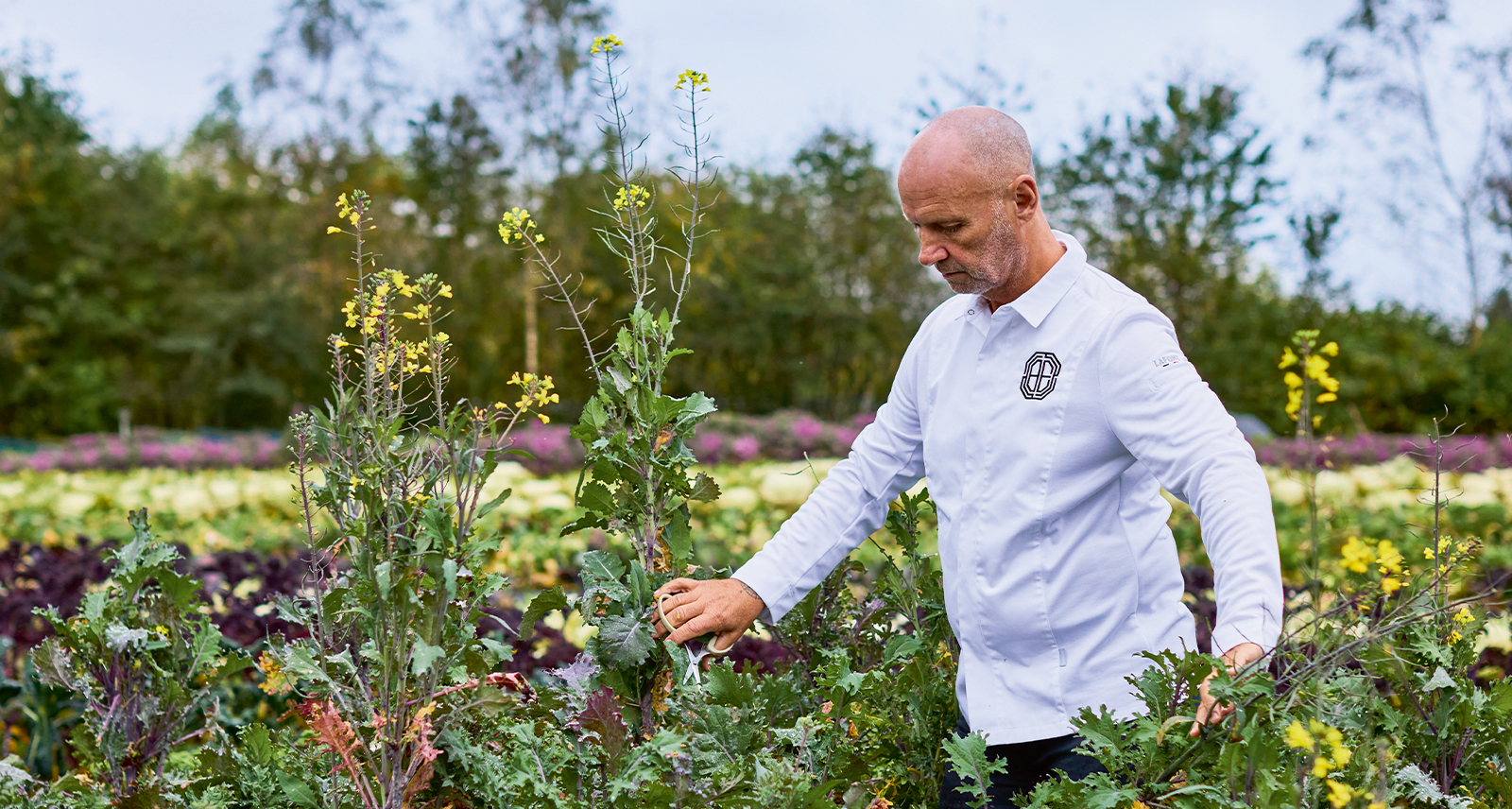 The Britannic Explorer Chef Simon Rogan