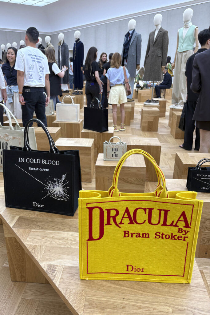 Dracula bag for dior men's spring-summer 2026