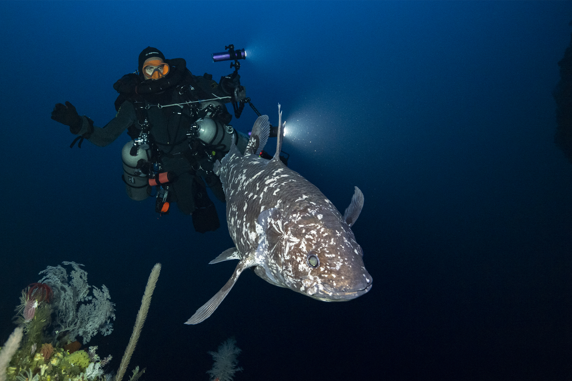 Photo from Face to Face with the Coelacanth film. © Alexis Chappuis, courtesy of Blancpain.