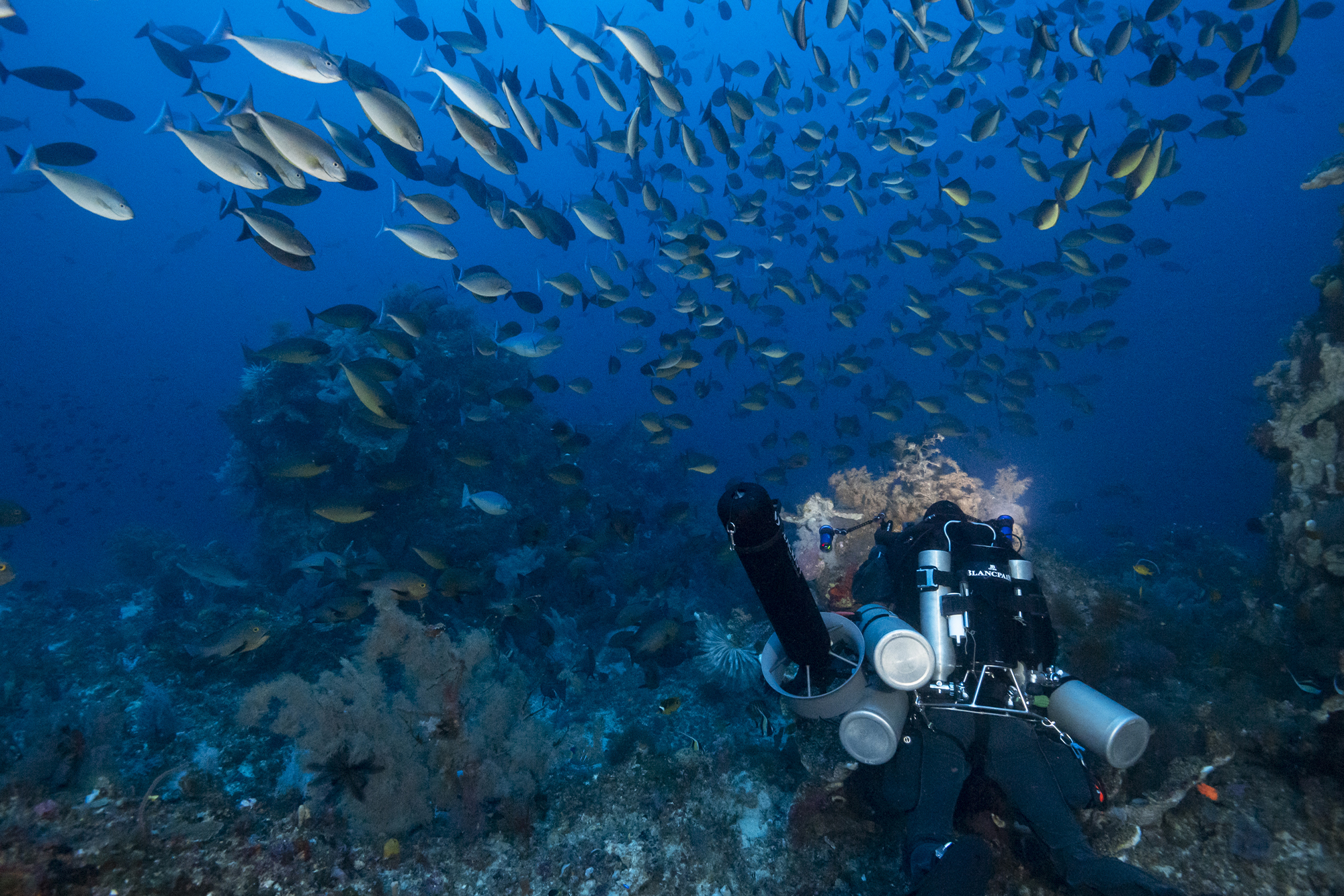 Photo from Face to Face with the Coelacanth film. © Alexis Chappuis, courtesy of Blancpain.