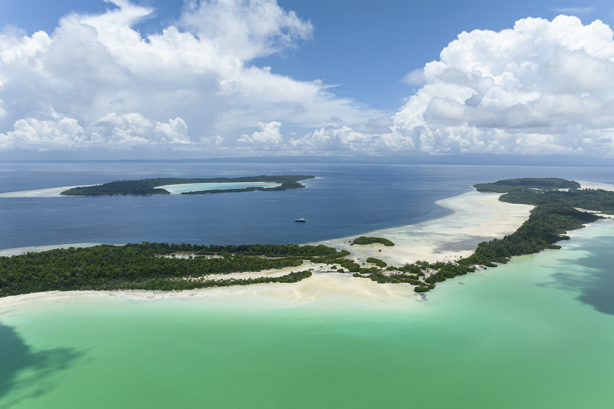 Photo from Face to Face with the Coelacanth film. © Alexis Chappuis, courtesy of Blancpain.