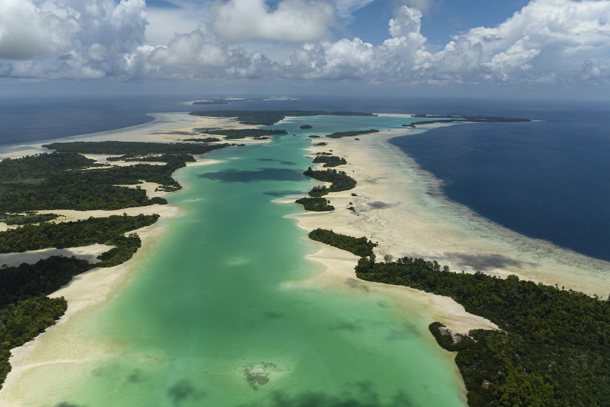 Photo from Face to Face with the Coelacanth film. © Alexis Chappuis, courtesy of Blancpain.