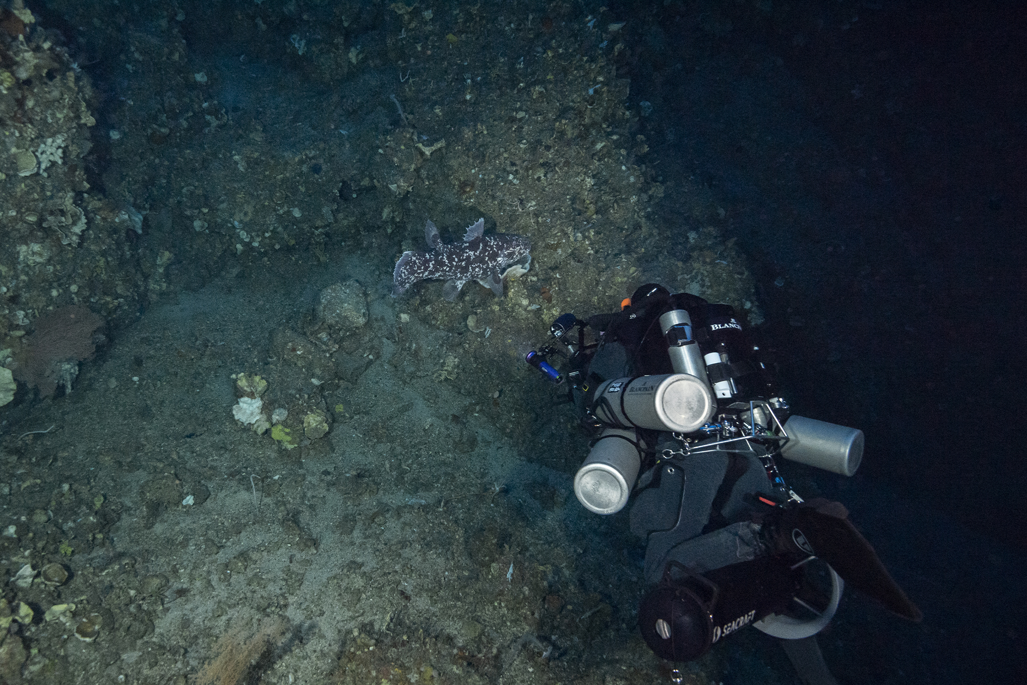 Photo from Face to Face with the Coelacanth film. © Alexis Chappuis, courtesy of Blancpain.