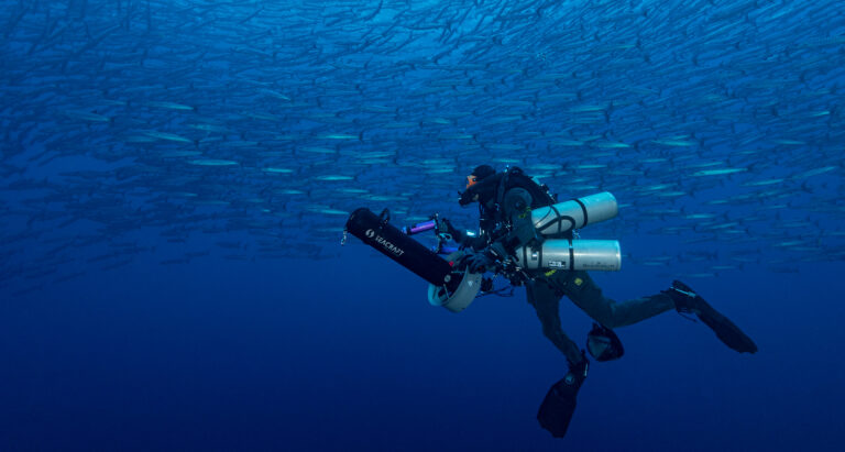 From "Face to Face with the Coelacanth." Photo © Alexis Chappuis, courtesy of Blancpain.