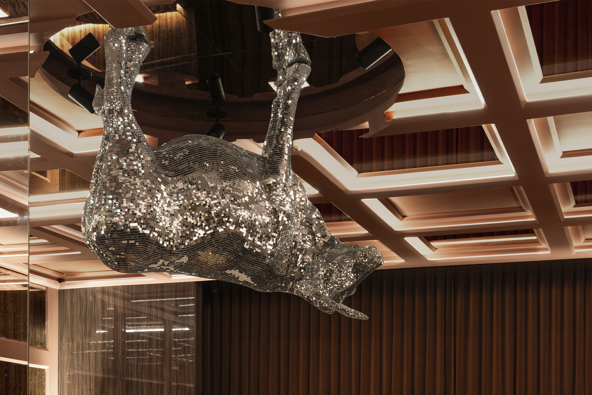 ANIML designed by Nivek Remas. Photo courtesy of The Marconi Agency.