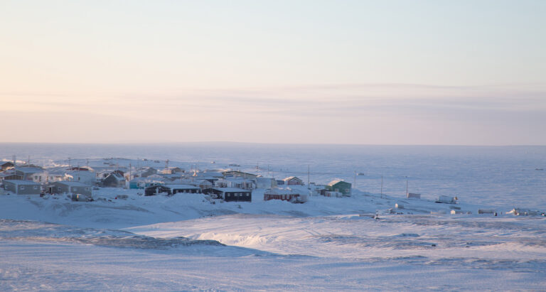 Rolex Perpetual Planet Initiative