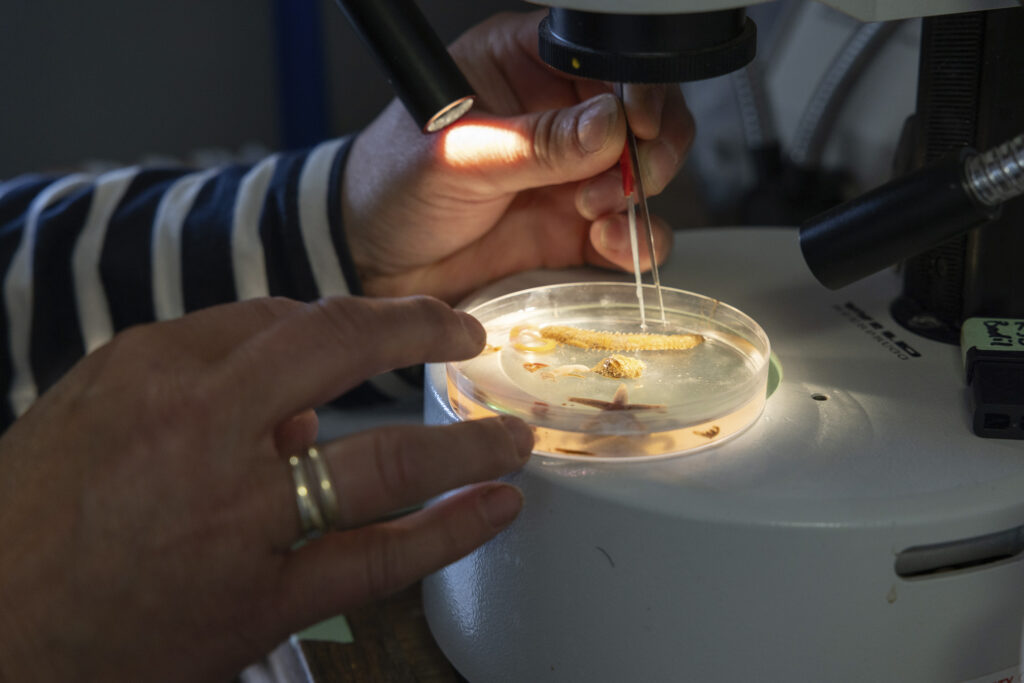 Rolex Perpetual Planet Initiative. Photo retrieved from SHARP September.