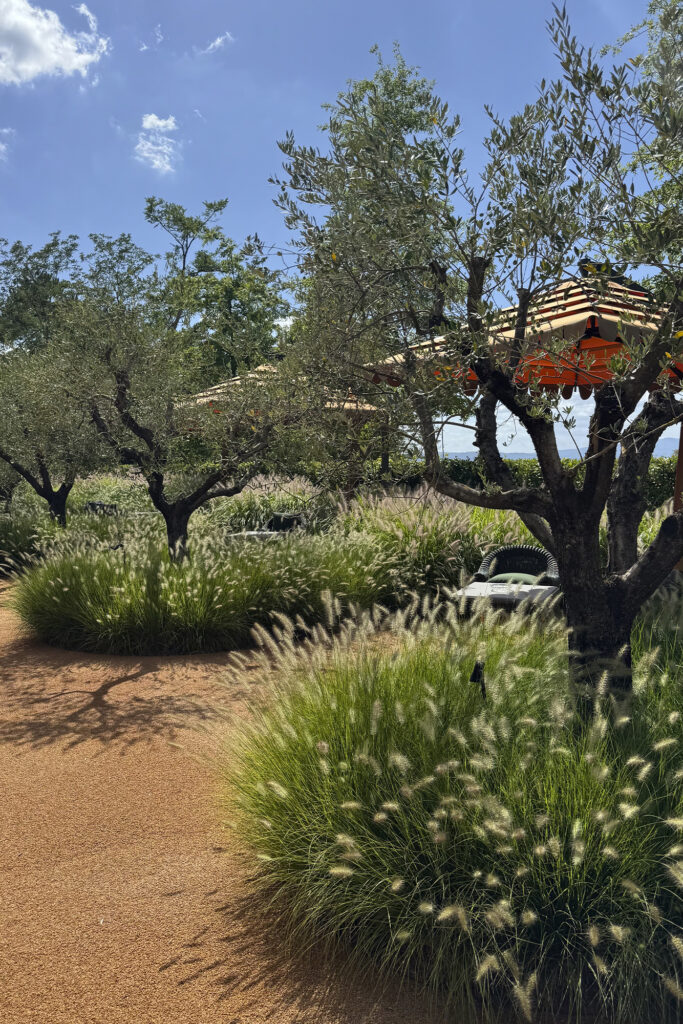 FLORENCE DAY 1. PHOTOS BY MICHAEL LA FAVE.