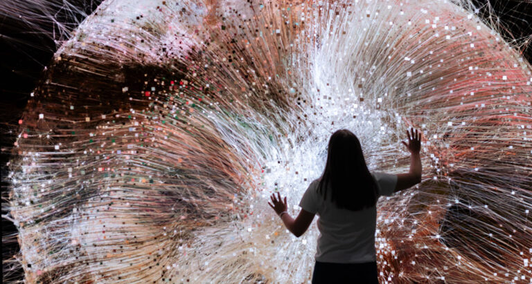 IX Shells Fellowship and ARTXCODE