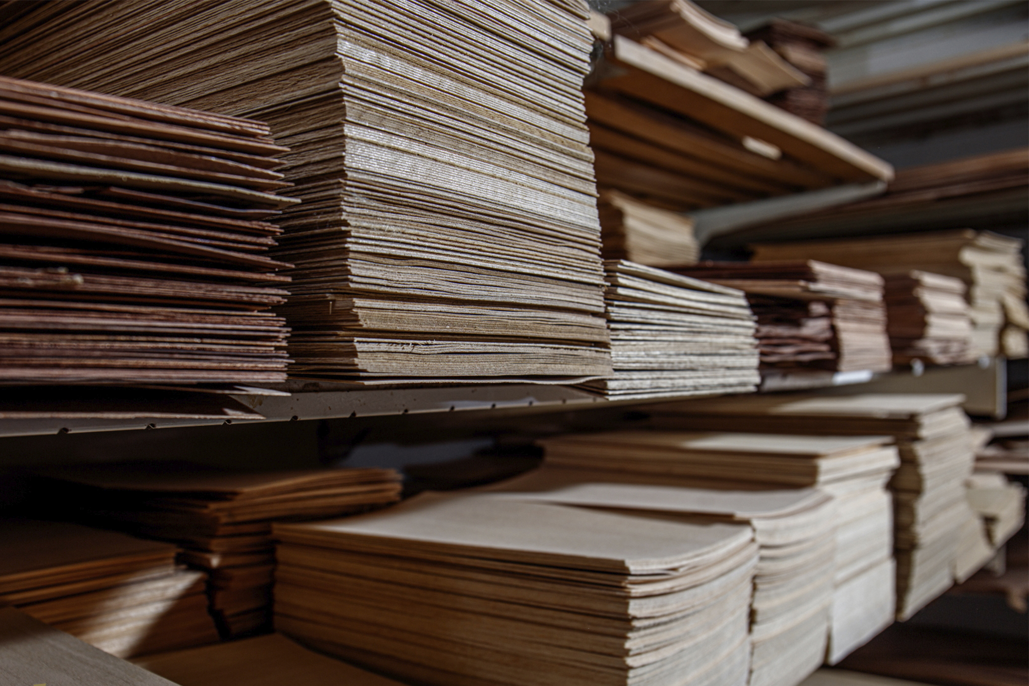 Palatinus Table Tennis Paddles. Photo courtesy of Róbert Palatinus.