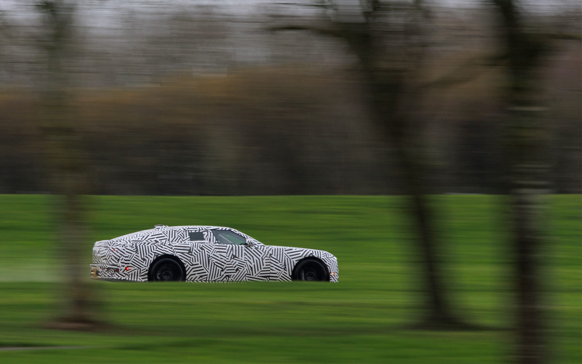 VVIP Jaguar Ride Experience. Photo from Ben Oliver.