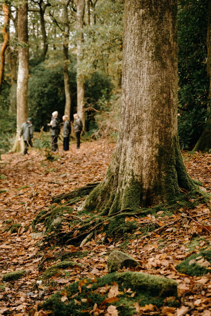 glendalough whiskey feature